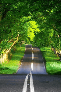 ನೀಳ್ಗತೆಗಳು...