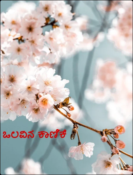 ಒಲವಿನ ಕಾಣಿಕೆ