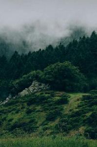 ಮೌನ ಮಾತದಾಗ.........