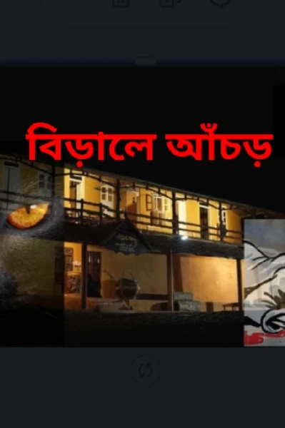 বিড়ালের আঁচড়