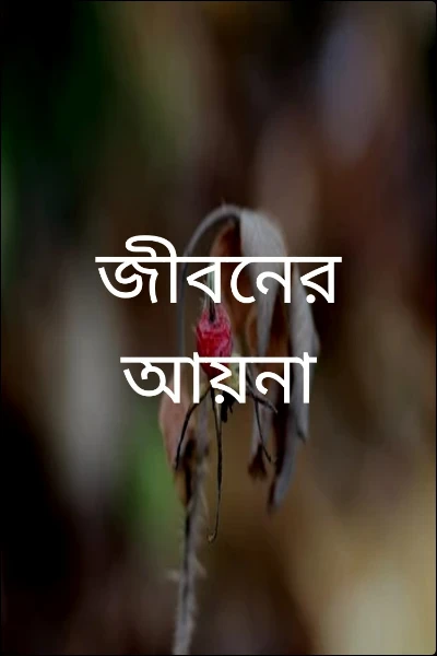 জীবনের আয়না