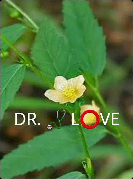DR. 🩺 L⭕️VE