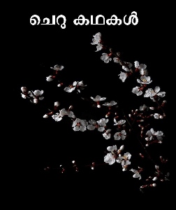 ചെറു കഥകൾ