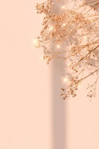 ম্যাডাম