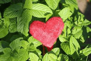 lovestory