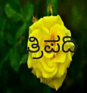 ತ್ರಿಪದಿ