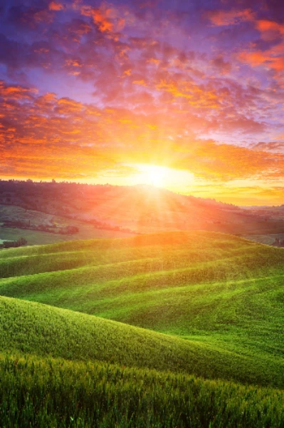 డైలీ టాపిక్స్