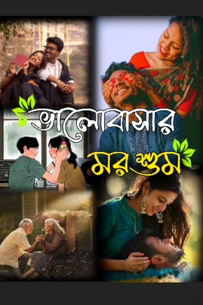 ভালোবাসার মরশুম 💖