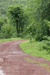 कोकणातील रस्ते आणि अनुभव