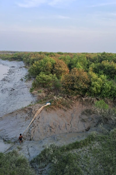 ছোটবাবু
 (১ম খন্ড)
শেকড়ের স্মৃতি
