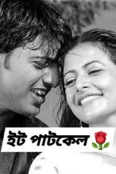 ইট পাটকেল্