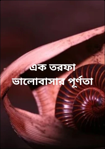এক তরফা ভালোবাসার পূর্ণতা