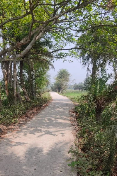 তালগোল বোল
