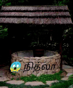 😱 நித்லா
