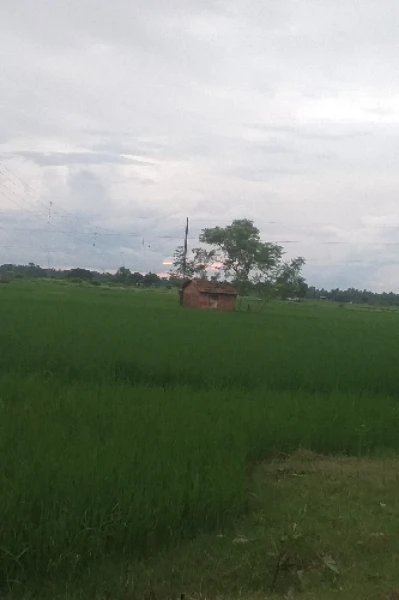 আমাদের গ্রাম