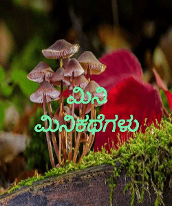 ಮಿನಿ ಮಿನಿಕಥೆಗಳು