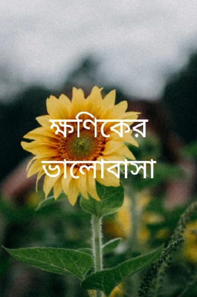 ক্ষণিকের ভালোবাসা