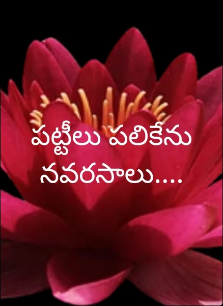 పట్టీలు పలికేను నవరసాలు....