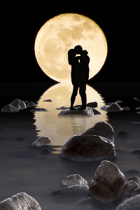 पैलतीरा नेशीलं....!