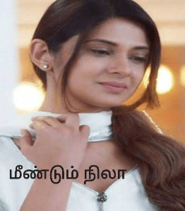 மீண்டும் நிலா (முழு நாவல்)