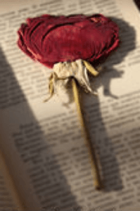 রিইউনিয়ন