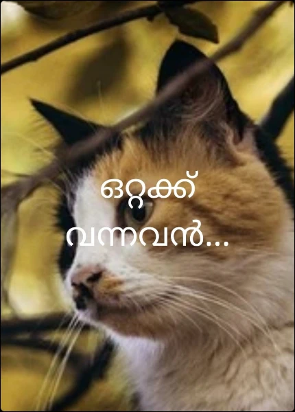 ഒറ്റക്ക് വന്നവൻ...