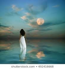 জোছনা রাতে মাধবীলতা হেঁটে  যায়