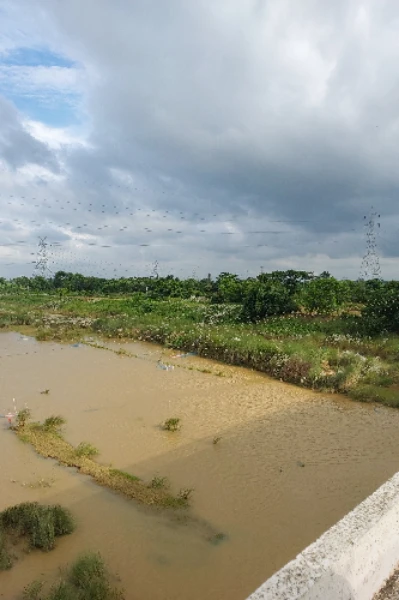 মেঘপিওনের ব্যাগ