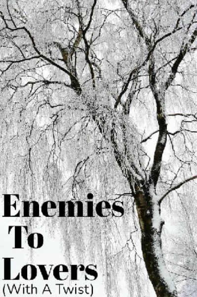 Enemies to Lovers (With a Twist)