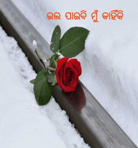 ଭଲ ପାଇବି ମୁଁ କାହିଁକି