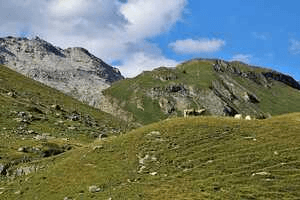 "The lessons learnt from LIFE....!!!!"